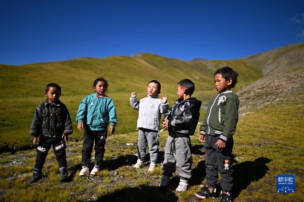 澳门威尼人一官方网址